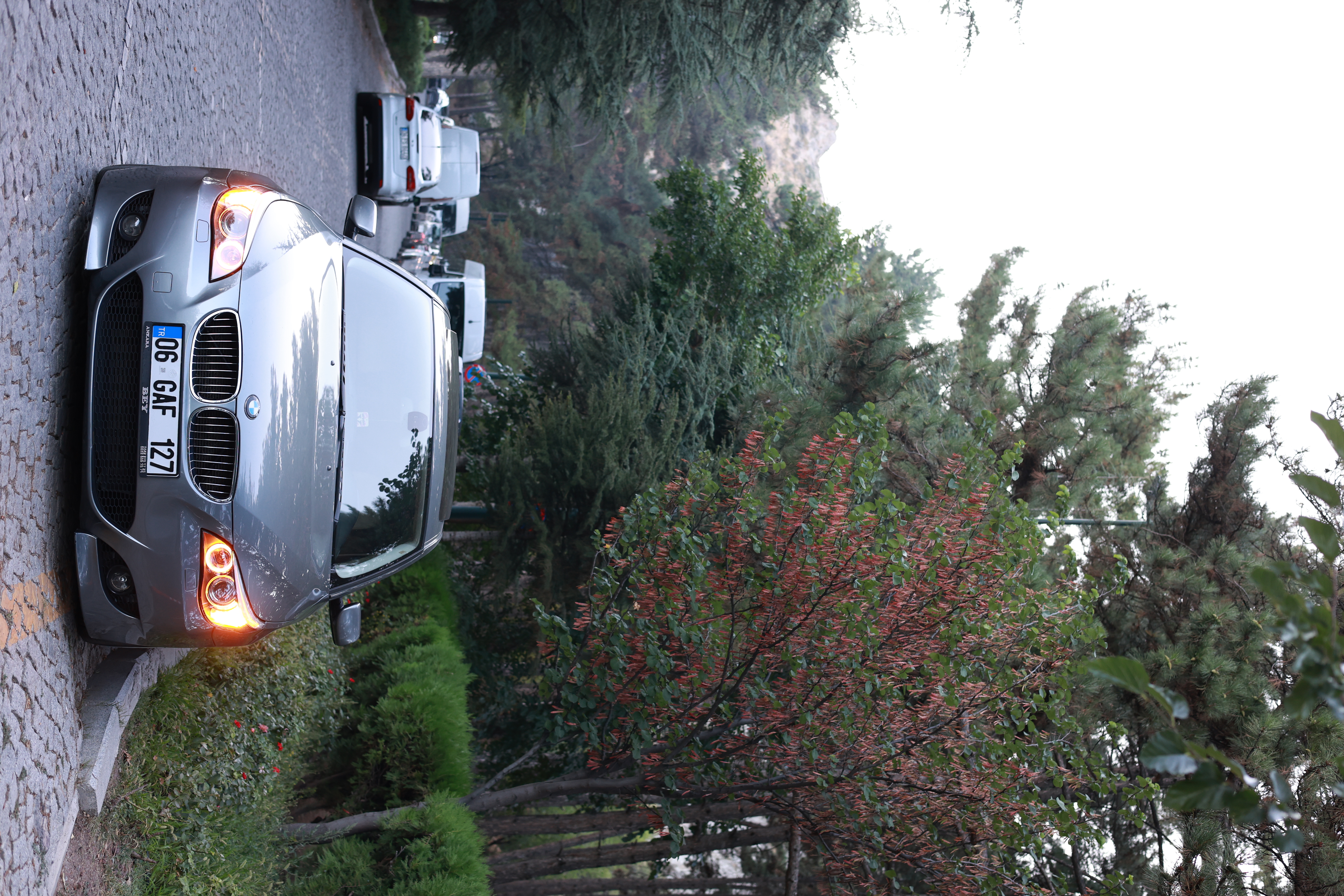 3L6A1730.JPG